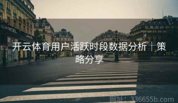 开云体育用户活跃时段数据分析｜策略分享