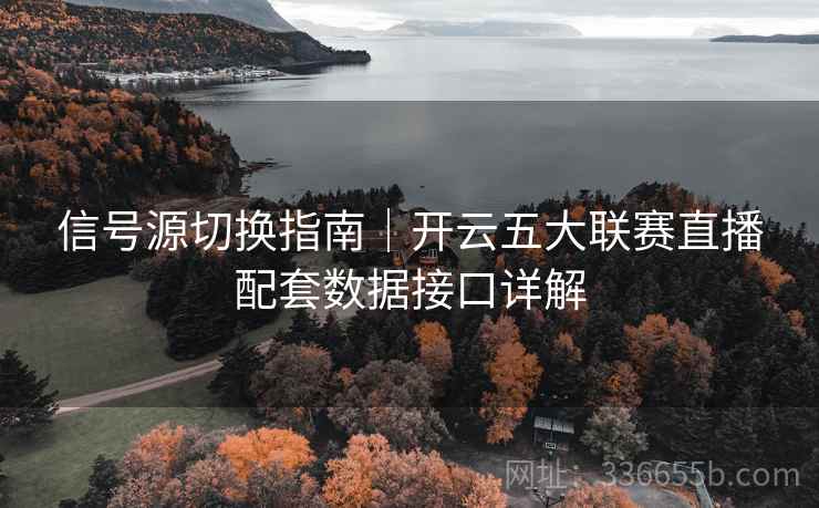 信号源切换指南｜开云五大联赛直播配套数据接口详解