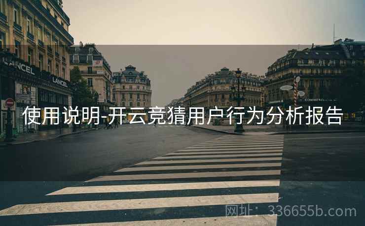 使用说明-开云竞猜用户行为分析报告