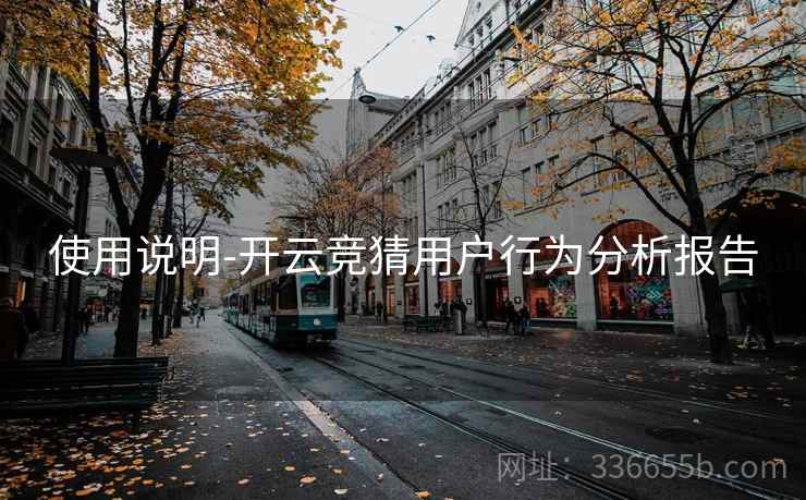 使用说明-开云竞猜用户行为分析报告