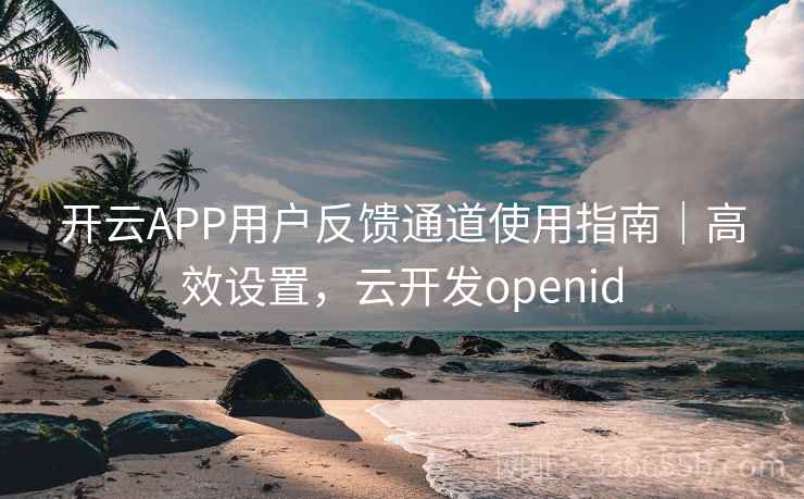 开云APP用户反馈通道使用指南｜高效设置，云开发openid