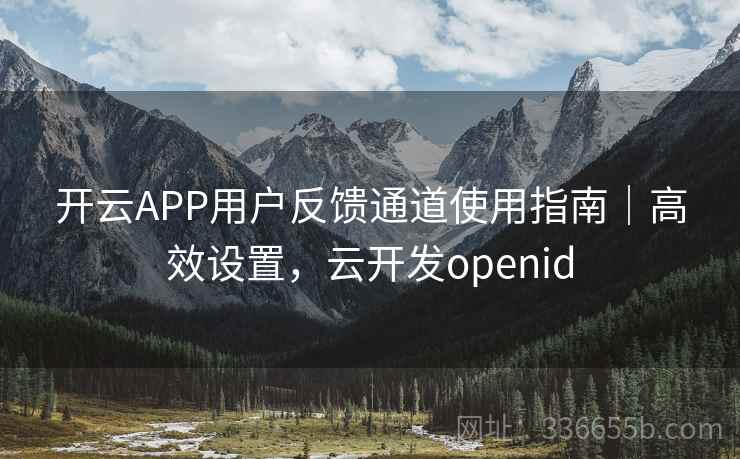 开云APP用户反馈通道使用指南｜高效设置，云开发openid