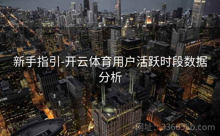 新手指引-开云体育用户活跃时段数据分析