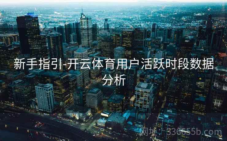 新手指引-开云体育用户活跃时段数据分析