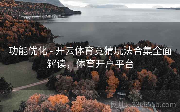 功能优化 - 开云体育竞猜玩法合集全面解读，体育开户平台