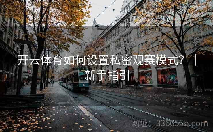 开云体育如何设置私密观赛模式？｜新手指引