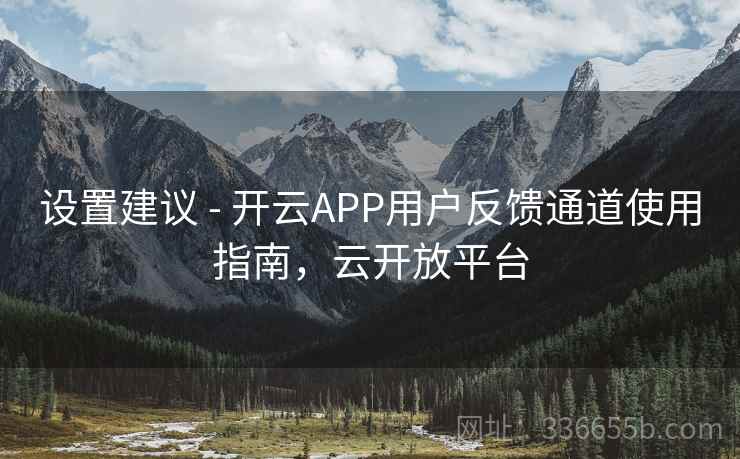 设置建议 - 开云APP用户反馈通道使用指南，云开放平台